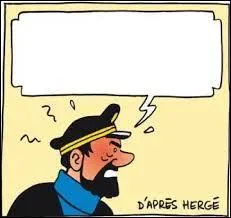Quel personnage de bande dessinée utilise cette expression : "Bougre de crème d'emplâtre à la graisse de hérisson" ?