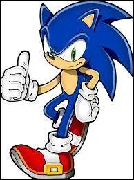 Quel âge a Sonic l'hérisson bleu dans le dessin animé "Les Aventures de Sonic" ?