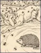 Trouvez le mot qui correspond à la partie en pointillée du titre d'une fable de Jean de la Fontaine : "Les Renards, ... et le Hérisson".