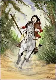 Quel est le nom du cheval qui a joué dans "L'Assassin royal" ?