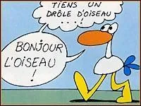 De quoi le corps des oiseaux est-il recouvert ?