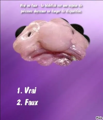 Quel est le chiffre exact à la question posée sur l'image ci-dessous ?