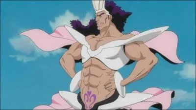 Bleach - Je suis l'un des fraccions de Baraggan Luisenbarn et ma lib&eacute;ration se nomme "Reina de Rosas". Je suis :