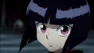 HunterxHunter - Je suis le cinqui&egrave;me fils de la famille Zoldik ainsi qu'un membre de la Brigade fant&ocirc;me. Qui suis-je ?