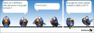 Quelle est la durée d'un mandat d'un maire ?