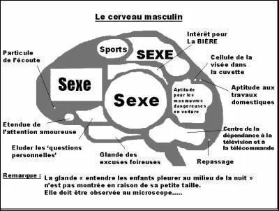 Parmi ces mots, lequel n'est pas masculin ?