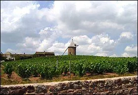 Quel est le nom de ce vin de couleur intense à la robe oscillant entre un grenat sombre et un rubis profond dont la notoriété s'étend bien au-delà du Beaujolais ?
