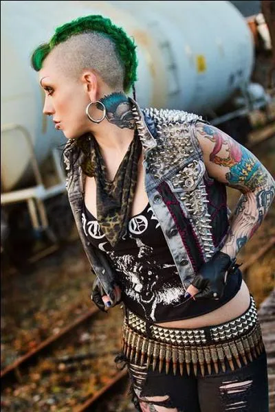 Pantalons et blousons cuir surtout Perfecto, bomber, pantalons slim, mini-jupe et collants résille ou déchirés pour le côté provoc. C'est le look :