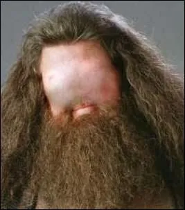 Ce barbu se nomme...