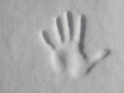 A quel écrivain doit-on le roman policier "La main" dont l'action se déroule sur fond de tempête de neige, plus connu pour avoir publié "L'affaire Saint-Fiacre" ?