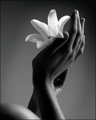 De qui est l'oeuvre autobiographique "la main coupée" ?