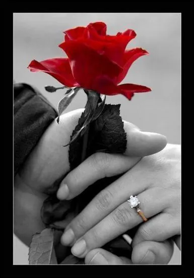 Qui chantait "Est-ce que j'en ai les larmes aux yeux que nos mains ne tiennent plus ensemble..."