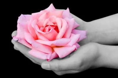 Que dire d'un membre qui participe à des débats sur le forum et qui est, par définition, toujours de l'avis des administrateurs ?