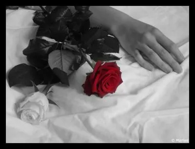 Si la chance était de votre côté pour jouer ce quiz :