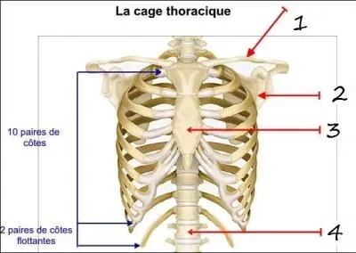La partie n°2 porte le nom de...
