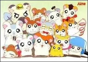 Qui sont ces hamsters ?