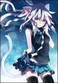 Quel est son pouvoir ?