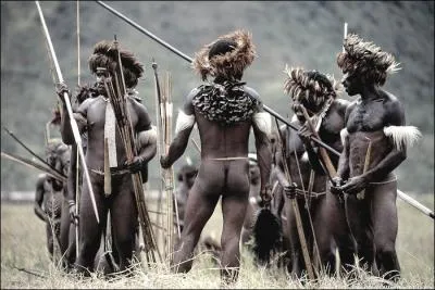 Quel est ce peuple de nouvelle Guinée qui vit dans des conditions proches de l'âge de pierre, derniers primitifs de ce lieu sauvage ?