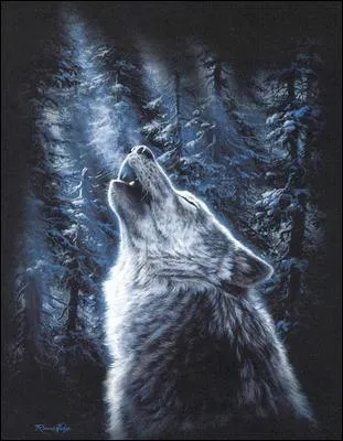 Qui a écrit "L'appel sauvage" plus connu sous le nom de "L'appel de la forêt" ?