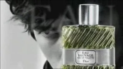 Sur cette photo qui était l'égérie de Dior pour l'eau de toilette "Eau sauvage" ?