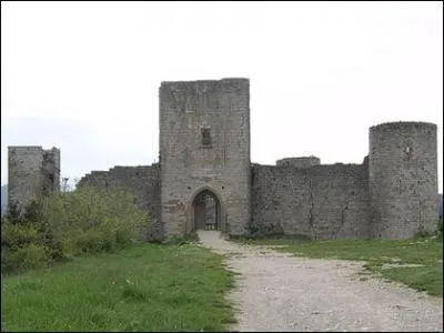 Dans quel château fut tournée au moins une scène du film "La neuvième porte" ?
