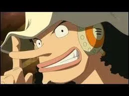 Comment les Tontattas surnomment-ils Usopp ?