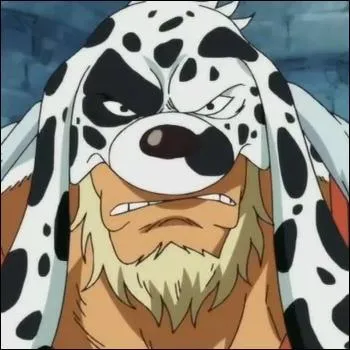 De quelle couleur est le costume de Dalmatien ?