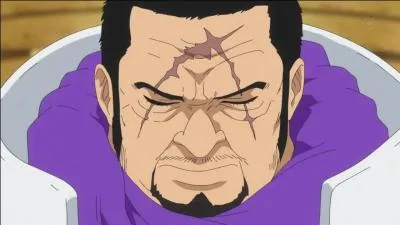 Quel est l'épithète de l'amiral Fujitora ?