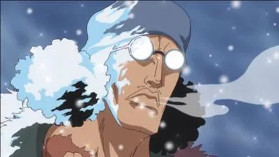 Avec quel équipage Aokiji a-t-il formé une alliance après avoir quitté la Marine ?