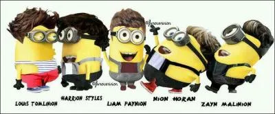 Quel groupe se cache derrière ces minions ?
