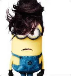Qui se cache derrière ce minion ?