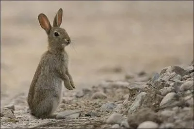 Réfléchissez un peu et vous tomberez pile dessus !