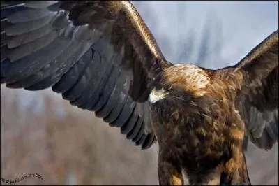 Vous approchez de la fin, si vous trouvez cette réponse, c'est que ça commence à sentir bon !