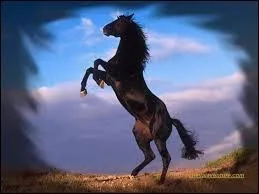 Je suis sûr que cette marque va vous botter !