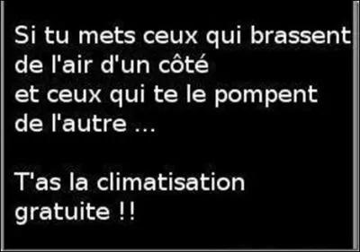 'Si on enlevait l'air du ciel, tous les oiseaux tomberaient par terre....Et les avions aussi... l'air c'est un peu comme mon cerveau. ' Qui est l'auteur(e) de cette pensée profonde ? ^^