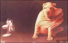 Que prend-on habituellement pour s'aérer ?