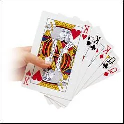 Comment s'appelle, en France, le fabricant de cartes à jouer ?