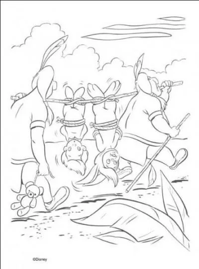 Après les présentations entre Wendy, ses frères et les compagnons de Peter, où les garçons décident-ils d'aller ?