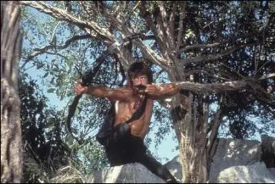 De quel film est tirée cette photo ?