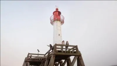 D'où vient cette photo ?