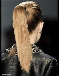 Aujourd'hui, j'ai sport. Alors, je vais me faire une coiffure simple et qui va très vite. Est-ce bien une tresse ?