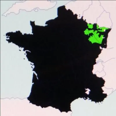En 1766, au décès de son duc, la France annexe
