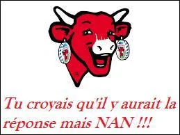 Quelle est cette marque ?