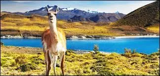 Le Chili est un pays d'Europe.