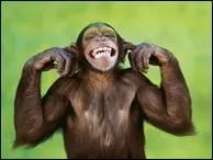 Qui a dit : Le romancier est, de tous les hommes, celui qui ressemble le plus à Dieu : il est le singe de Dieu.  ?