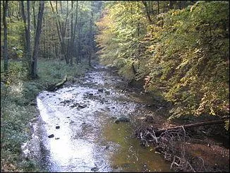Vrai ou faux - Roter Main est une rivière anglaise de 71 km de long.