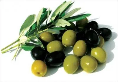 Quelle différence y a-t-il entre une olive verte et une olive noire ?