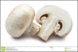 Maintenant, traduire des noms de fruits : traduire le mot "champignon"