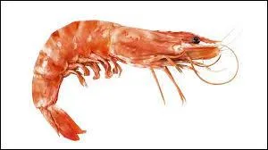 Traduire le mot "crevette"