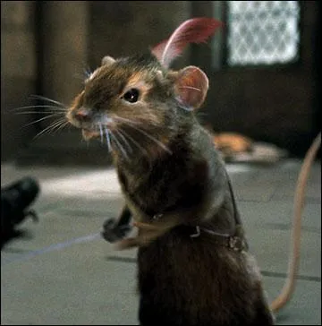 Qui est ce personnage ?